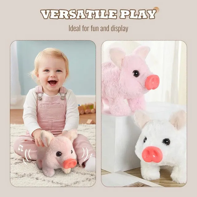 /68fb0c2837a6aa00095ccf68/2025/10/24/product-img-68fb170f70bd325c841c6eb6.png