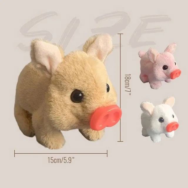 /68fb0c2837a6aa00095ccf68/2025/10/24/product-img-68fb171070bd325c841c6eba.png