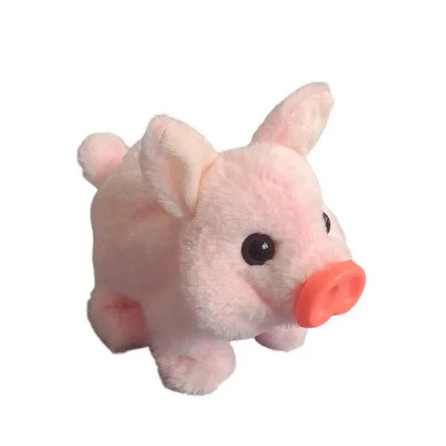 /68fb0c2837a6aa00095ccf68/2025/10/24/product-img-68fb171070bd325c841c6ebb.png