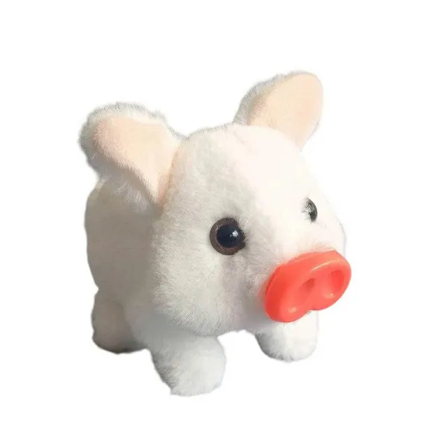/68fb0c2837a6aa00095ccf68/2025/10/24/product-img-68fb171070bd325c841c6ebd.png