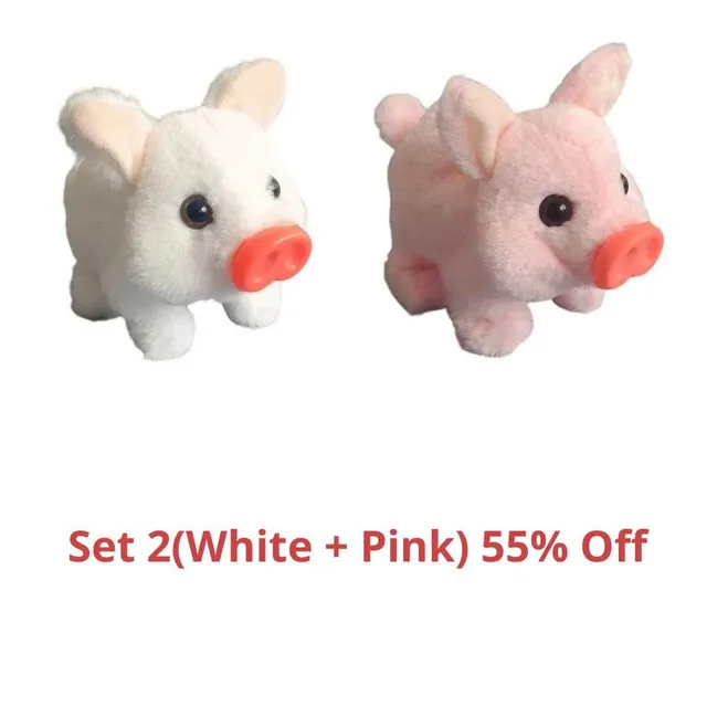 /68fb0c2837a6aa00095ccf68/2025/10/24/product-img-68fb171170bd325c841c6ec0.png