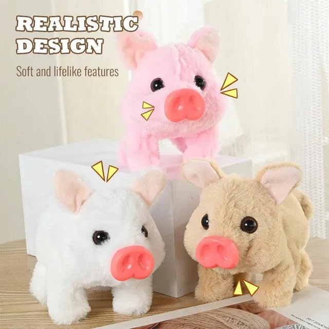 /68fb0c2837a6aa00095ccf68/2025/10/24/product-img-68fb171170bd325c841c6ec1.png